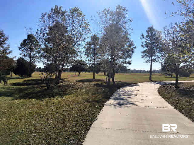 16872 County Road 12 South Foley, AL 36535 - Photo 27 of 35 Back Acreage & Drive