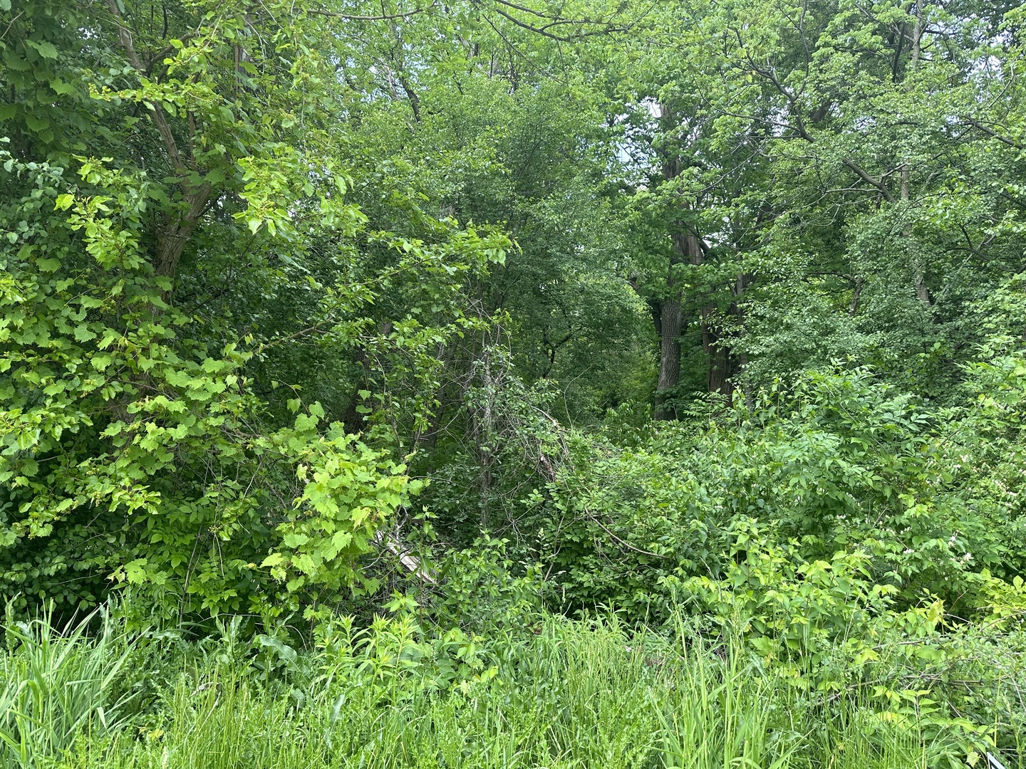 0 Harmony Road Huntley, IL 60142 - Photo 1 of 1 Gallery Image 1