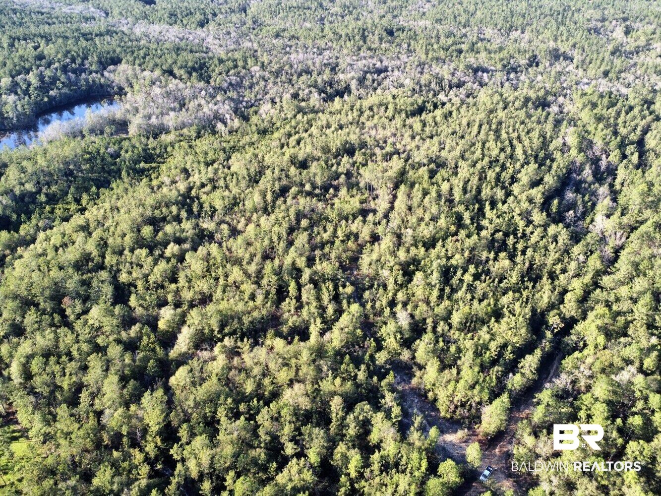 0 C C Road Chunchula, AL 36521 - Photo 27 of 27