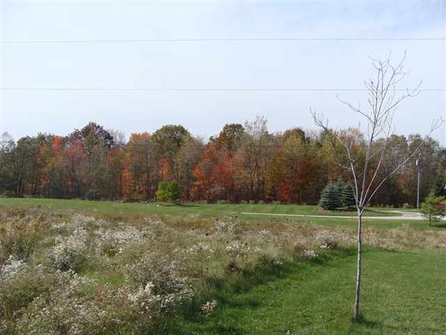 5378 Burtch Road Jeddo, MI 48032 - Photo 4 of 30 31029638-3.JPG