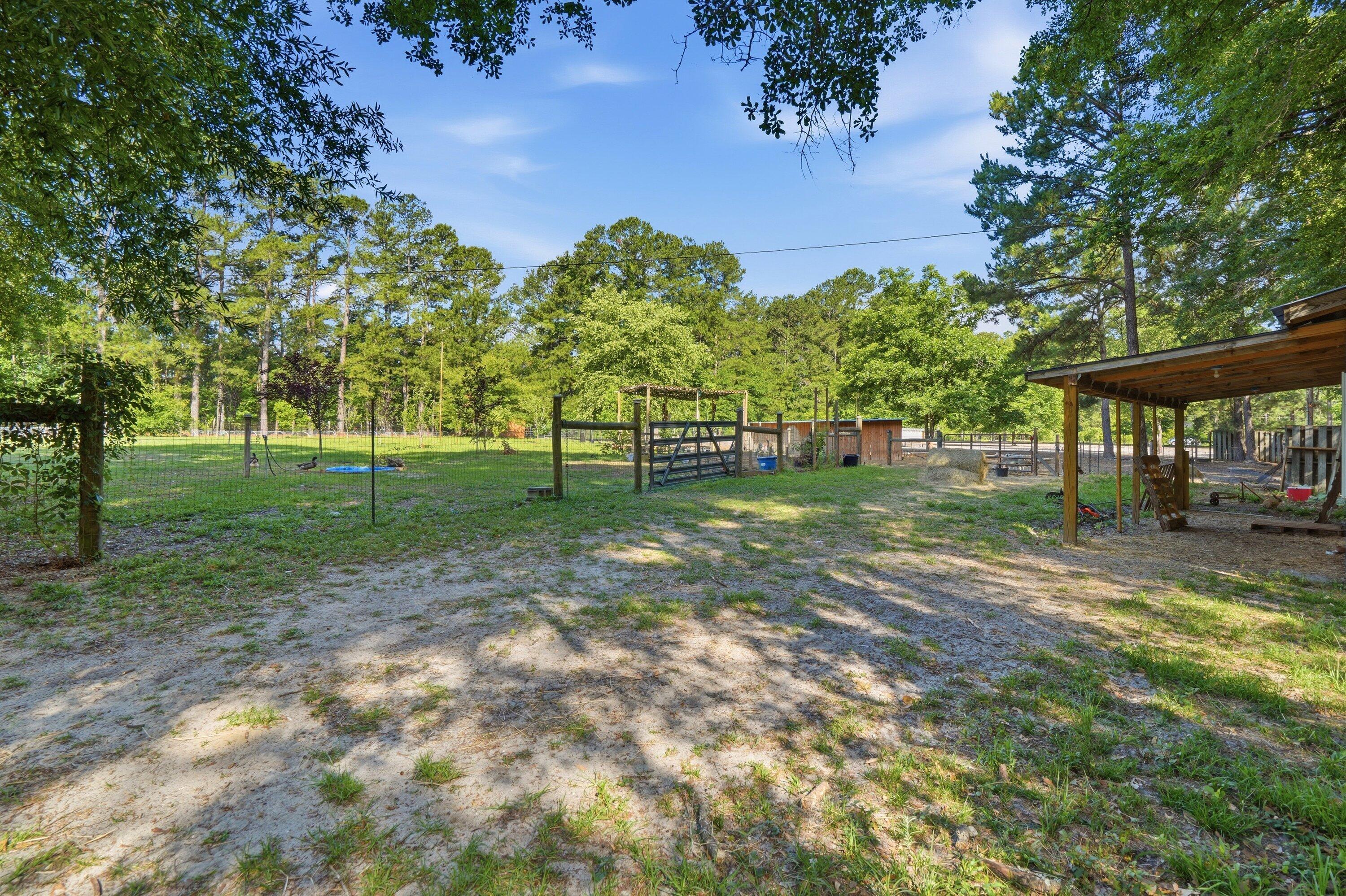 155 Sweatman Road Dorchester, SC 29437 - Photo 24 of 27 035_DSC05858 (1)