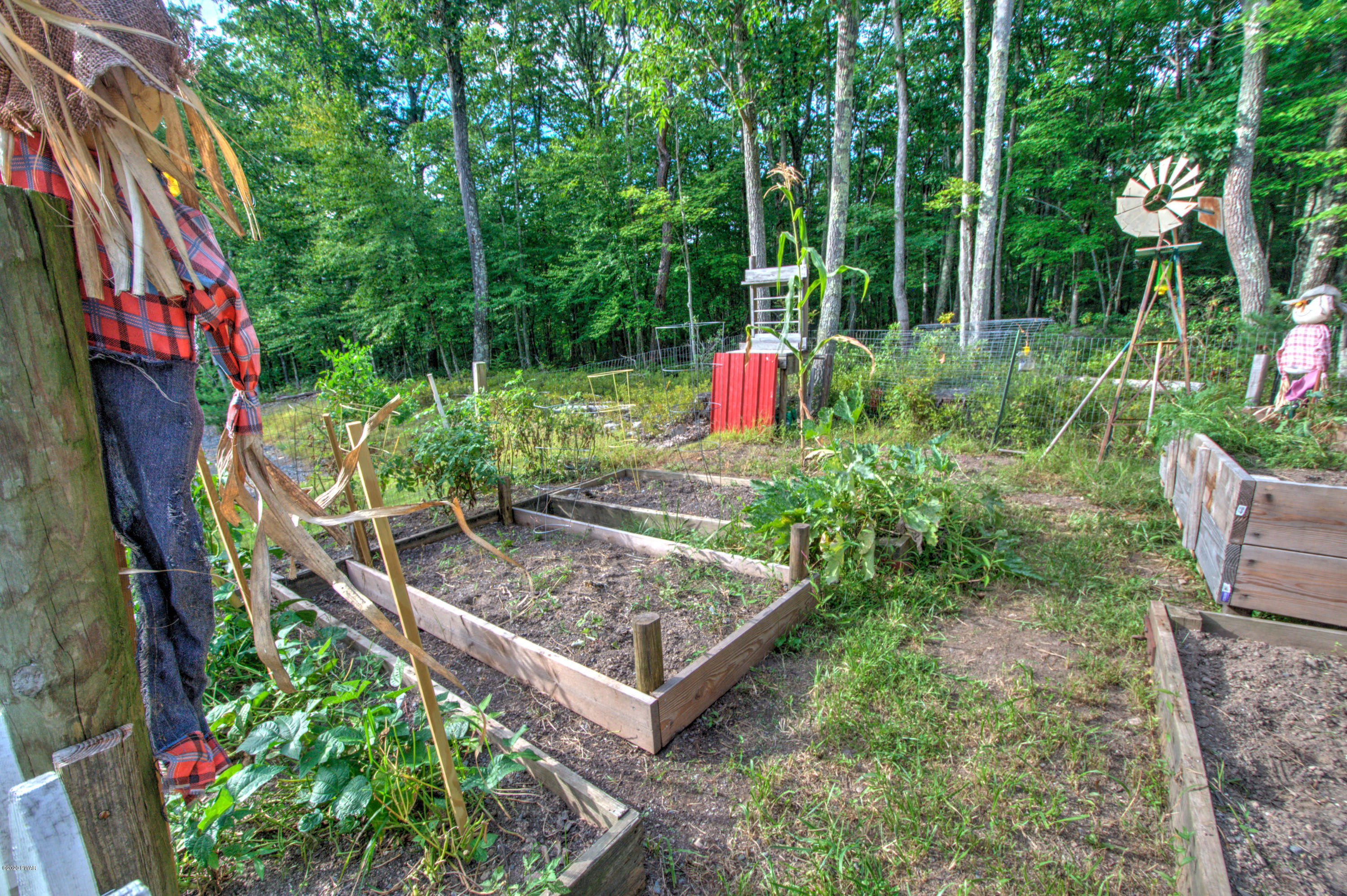 141 Beaverdam Road Tafton, PA 18464 - Photo 51 of 59 50-Exterior garden2