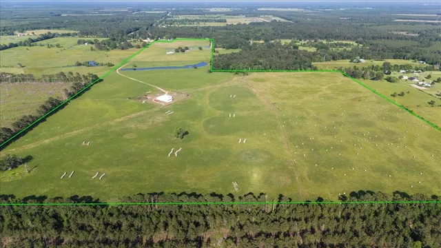 $1,350,000 | 4096 Farm To Market 1004, Kirbyville, TX 75956