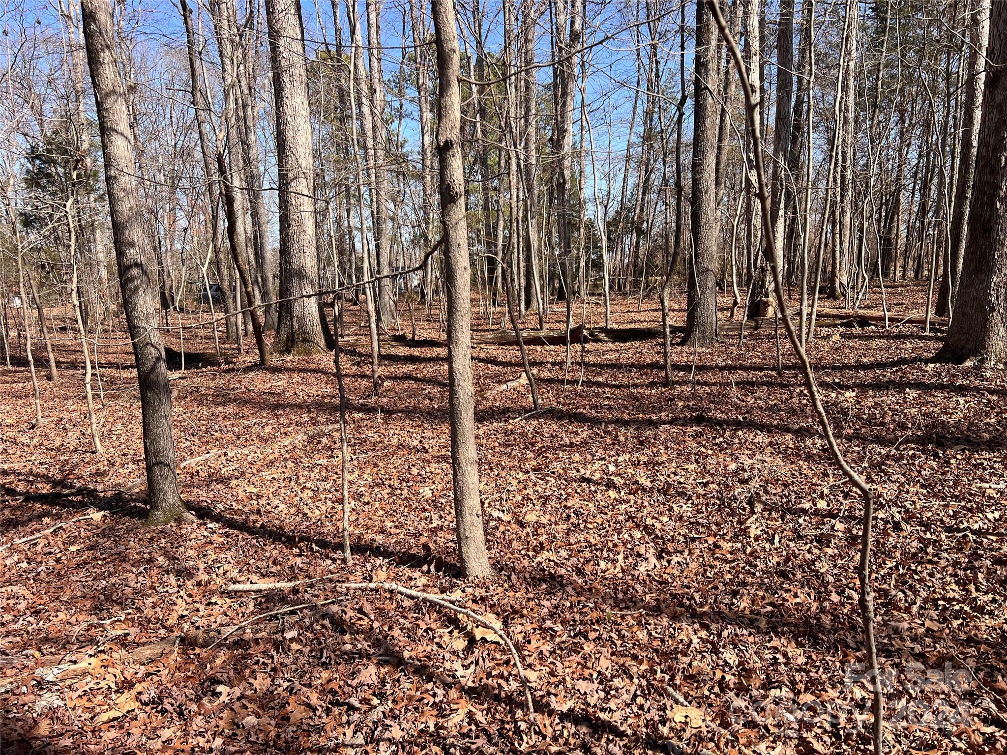 9602 Rollins Road Waxhaw, NC 28173 - Photo 12 of 12 a view of a backyard