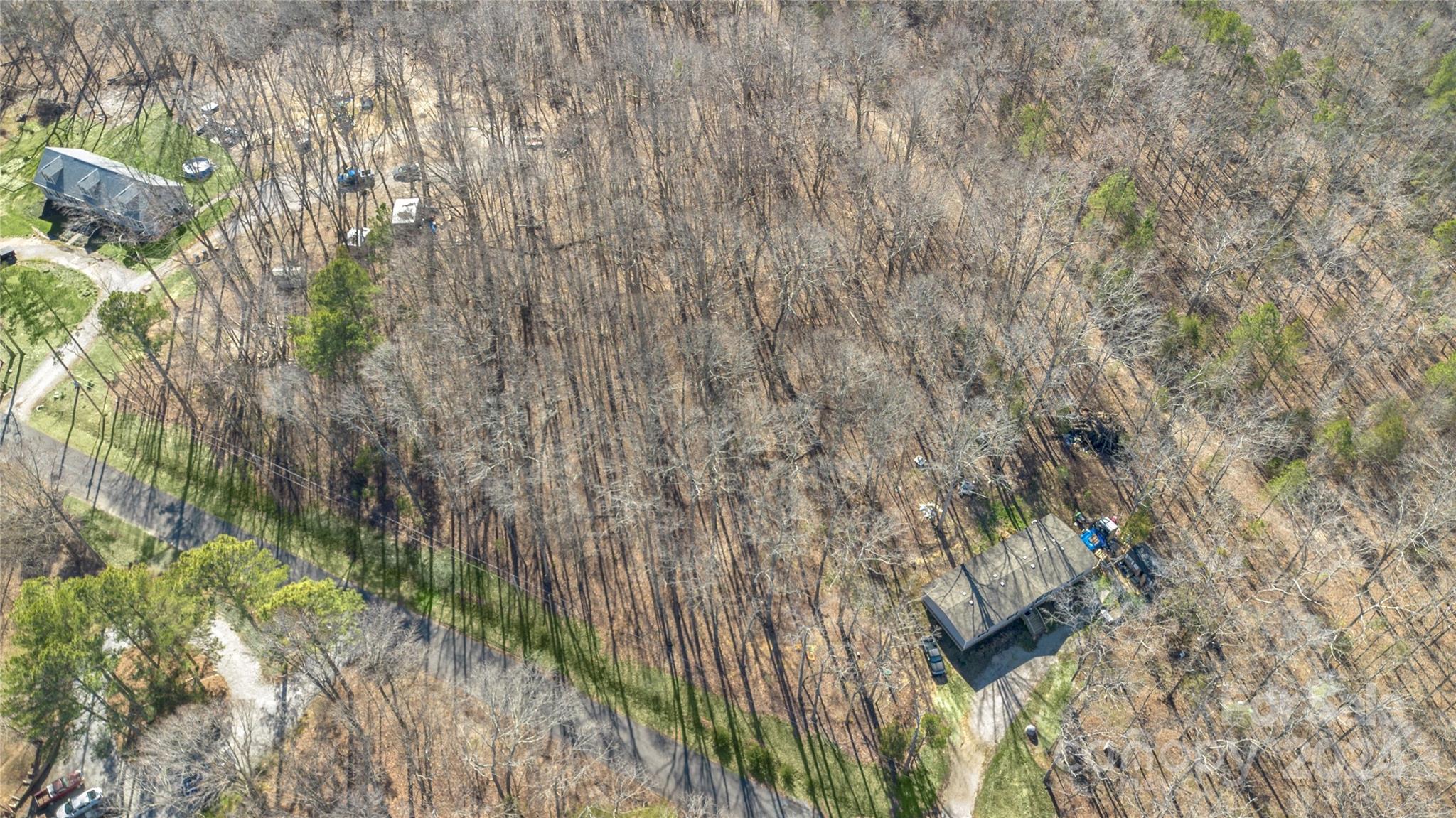 9602 Rollins Road Waxhaw, NC 28173 - Photo 3 of 12 a close up of a plant in a forest
