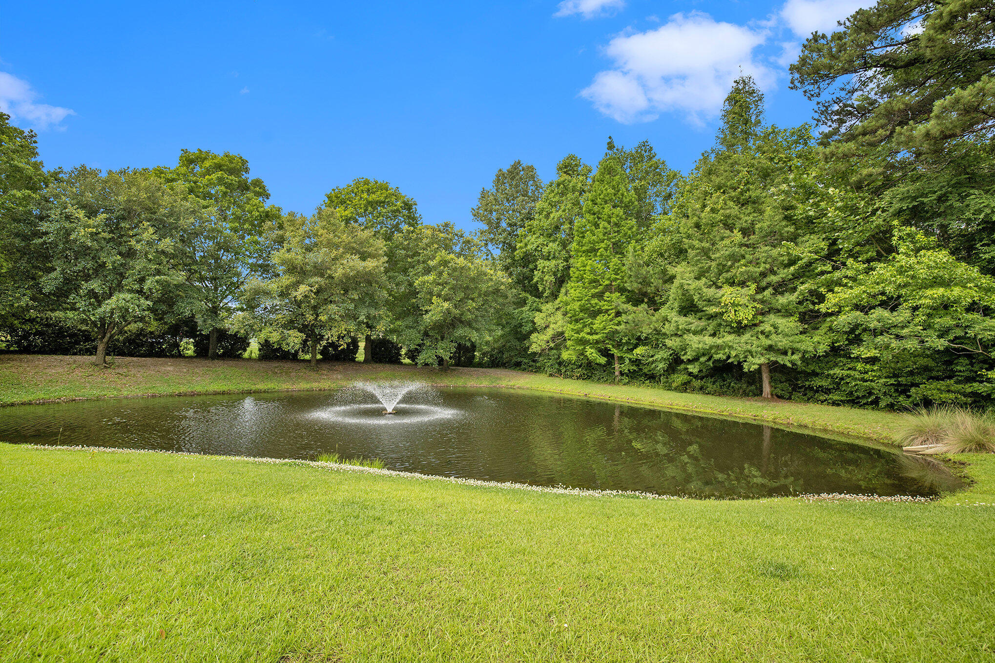 269 Brookshire Road Goose Creek, SC 29445 - Photo 3 of 26 031_604a9342