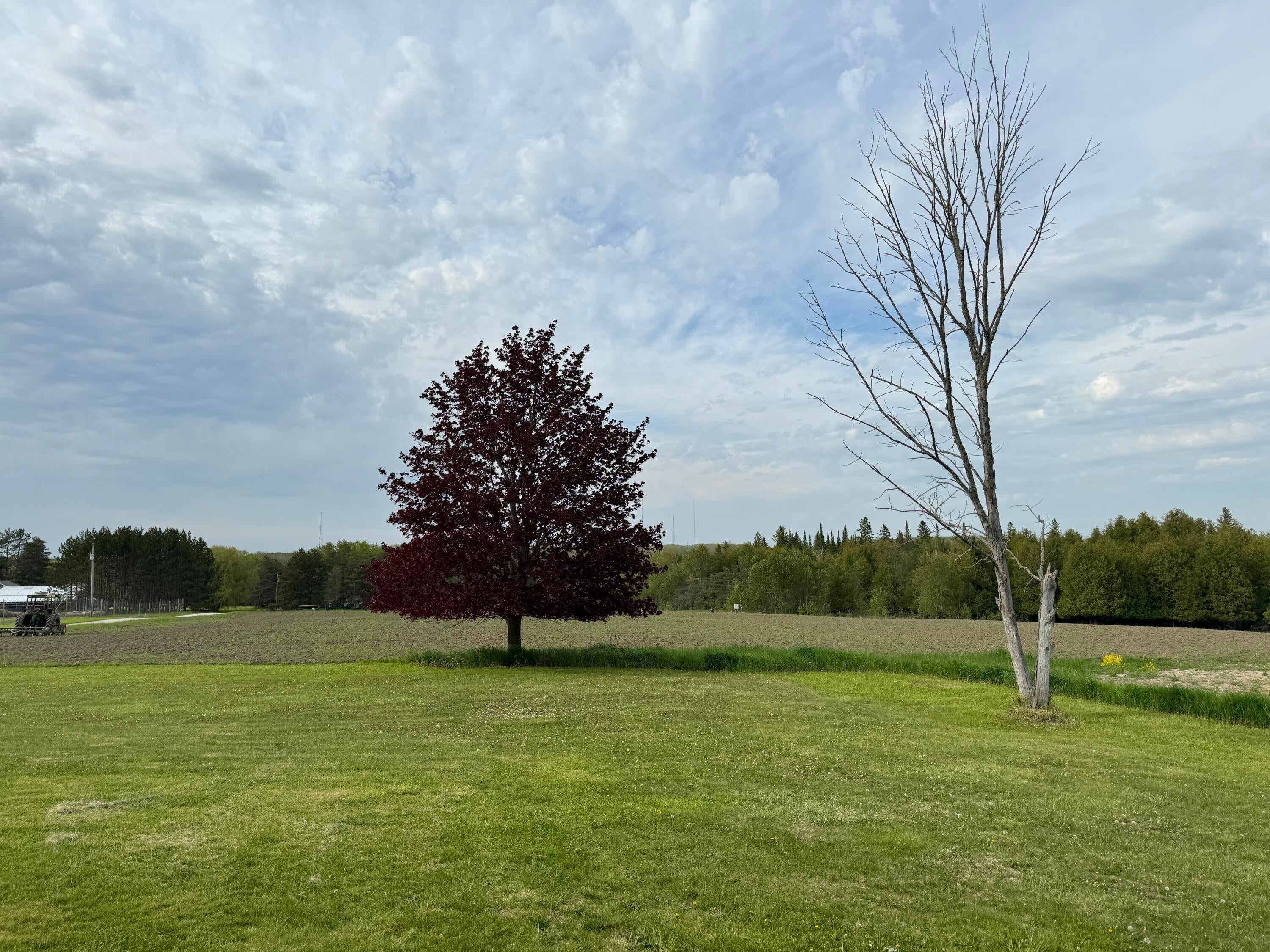 13425 Carney Road Lachine, MI 49753 - Photo 41 of 51 Gallery Image 41