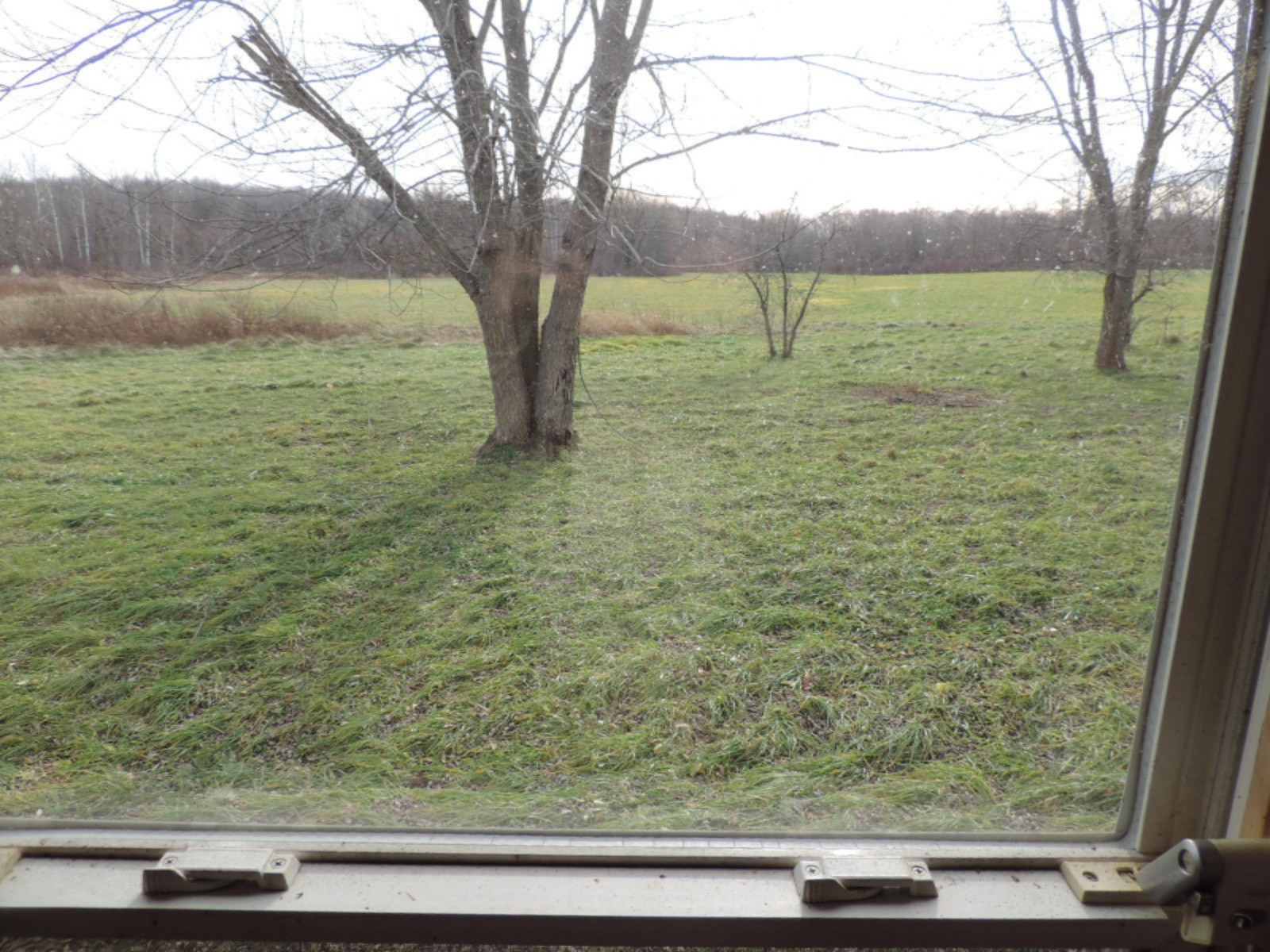 7780 Hagar Shore Road Coloma, MI 49038 - Photo 14 of 31 263-395817 VIEW TO REAR