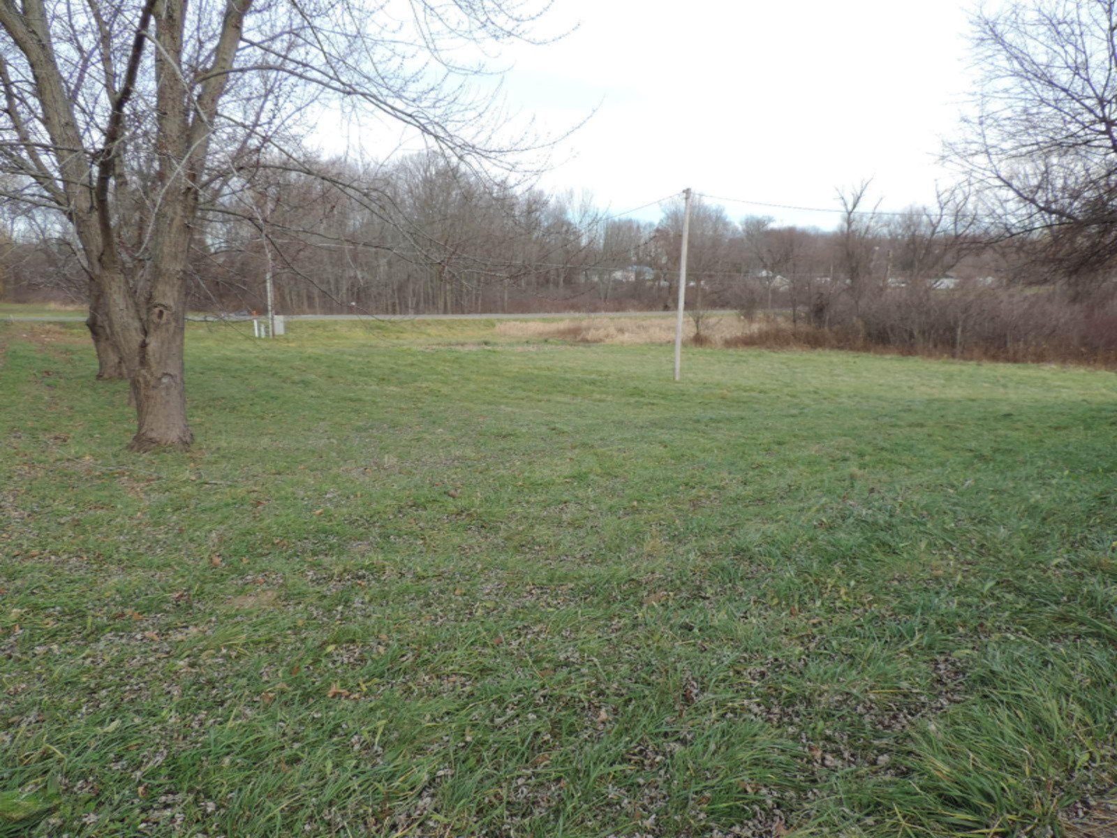 7780 Hagar Shore Road Coloma, MI 49038 - Photo 10 of 31 263-395817 VIEW TO STREET (2)