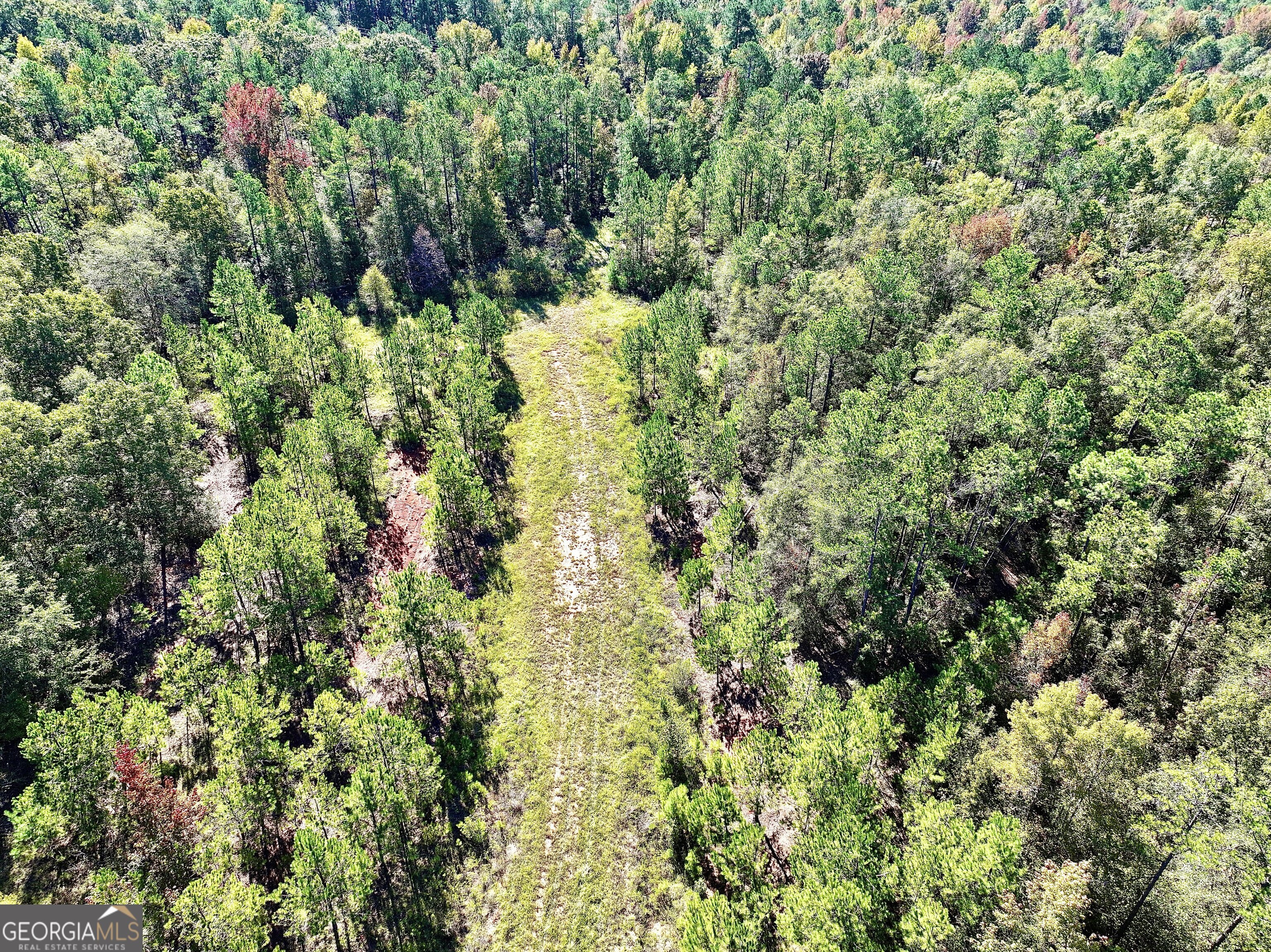 0 Highway 112 Toomsboro, GA 31090 - Photo 11 of 37