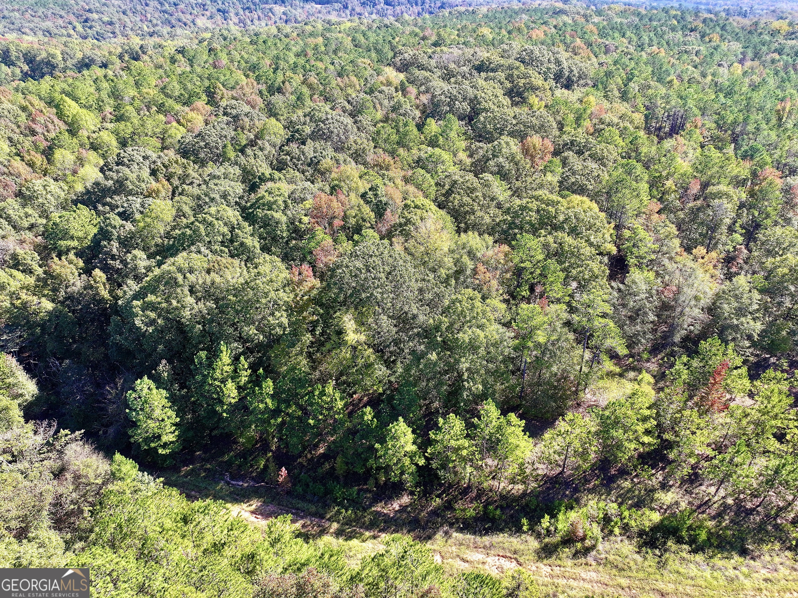 0 Highway 112 Toomsboro, GA 31090 - Photo 12 of 37