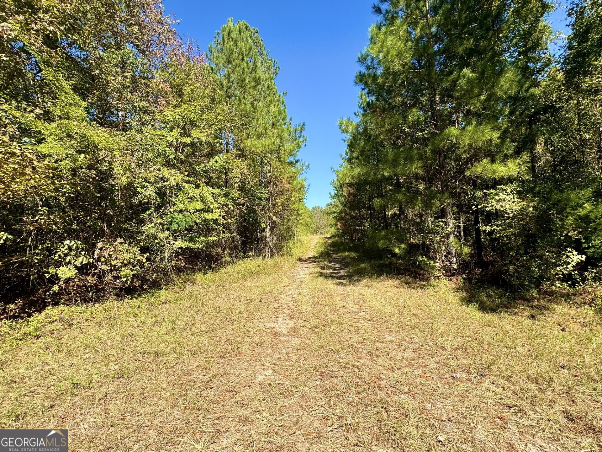 0 Highway 112 Toomsboro, GA 31090 - Photo 14 of 37