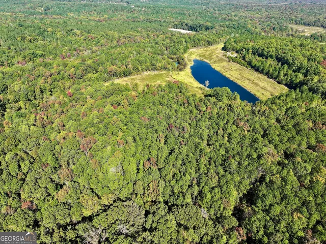 $832,500 | 0 Highway 112, Toomsboro, GA 31090