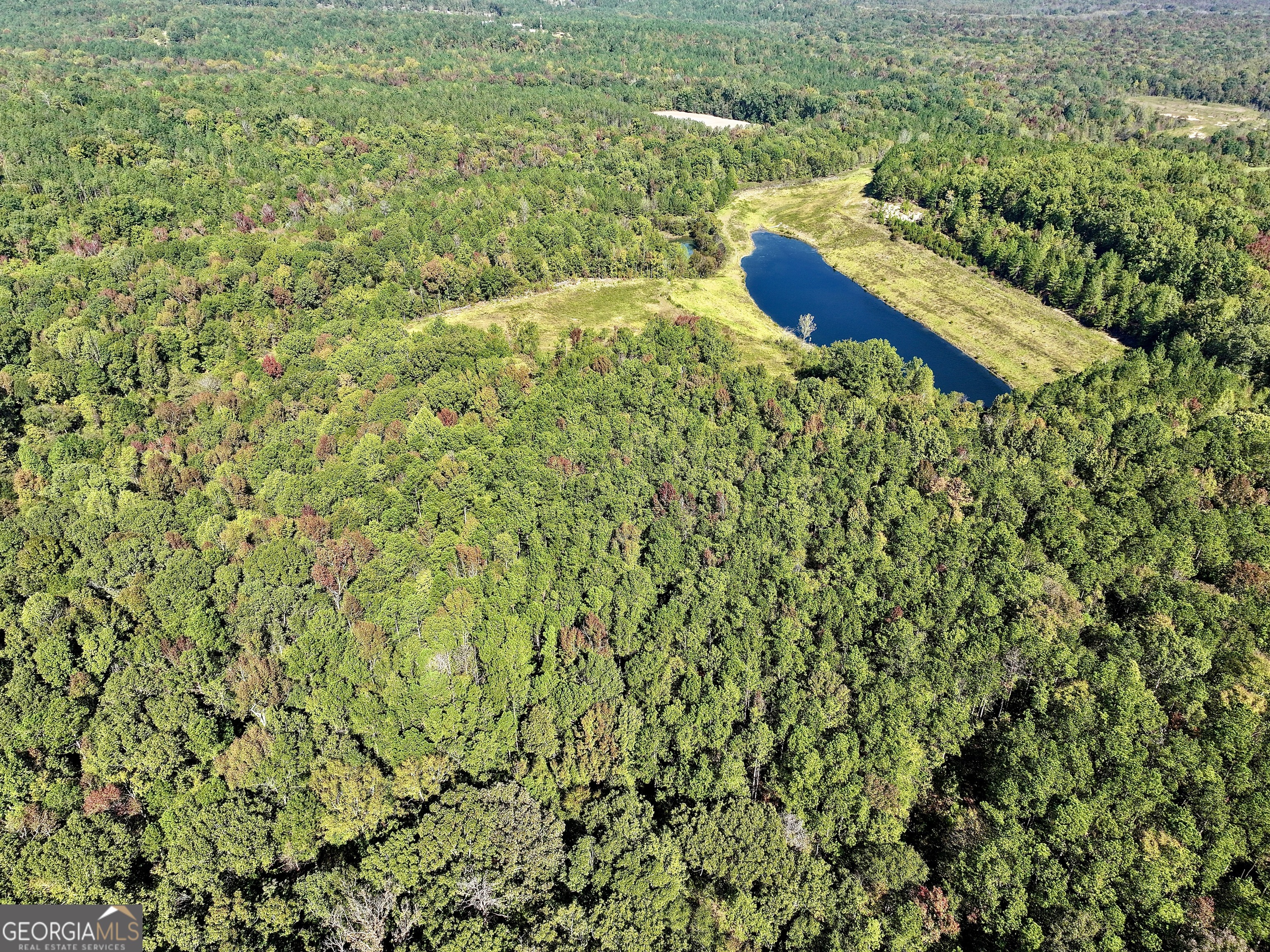 0 Highway 112 Toomsboro, GA 31090 - Photo 15 of 37