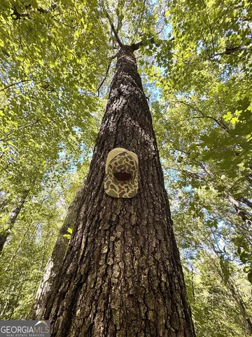 $832,500 | 0 Highway 112, Toomsboro, GA 31090