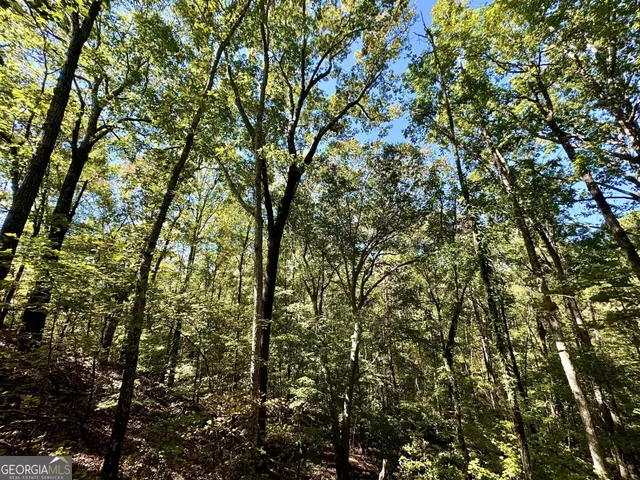 $832,500 | 0 Highway 112, Toomsboro, GA 31090