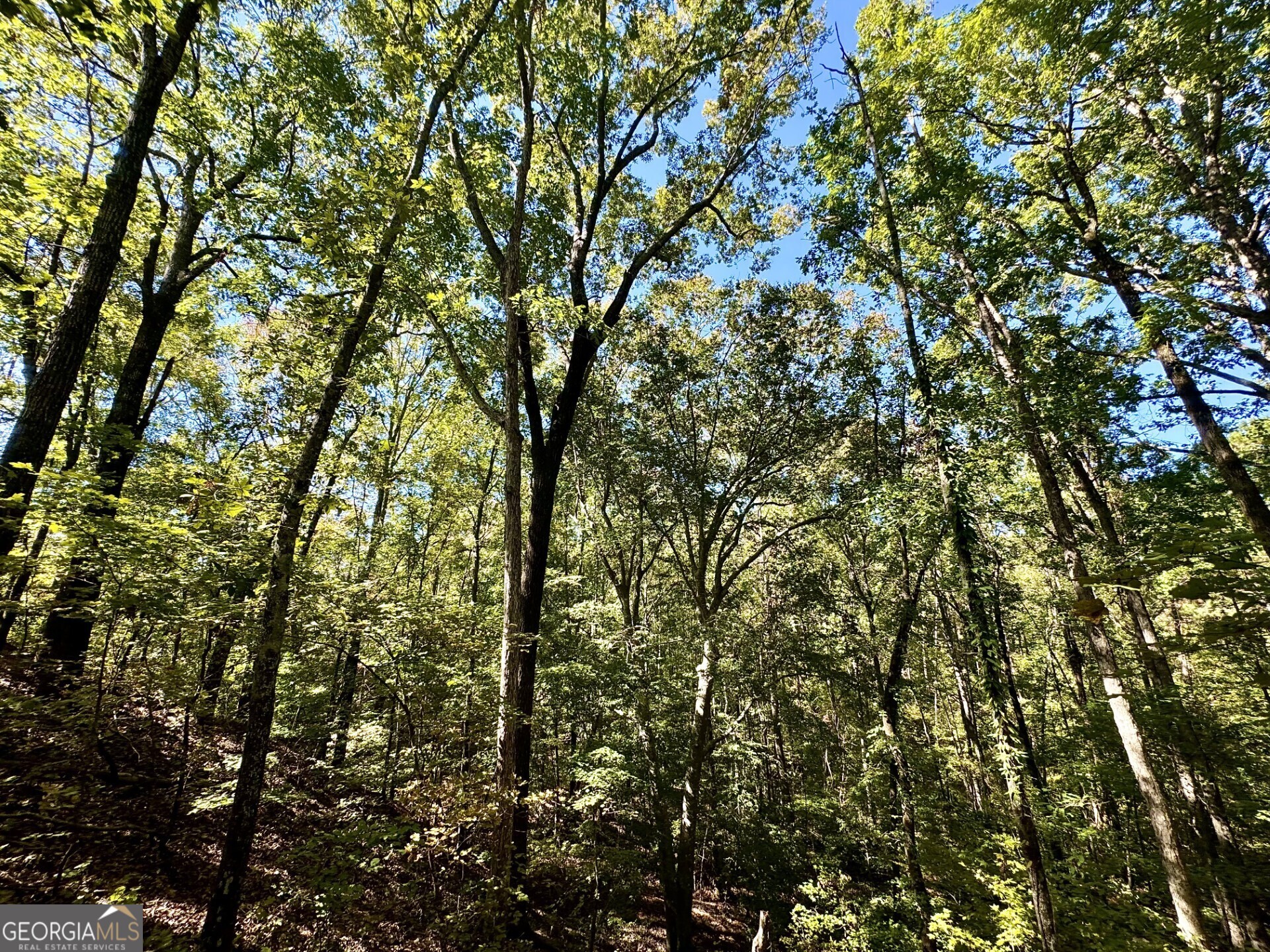 0 Highway 112 Toomsboro, GA 31090 - Photo 17 of 37