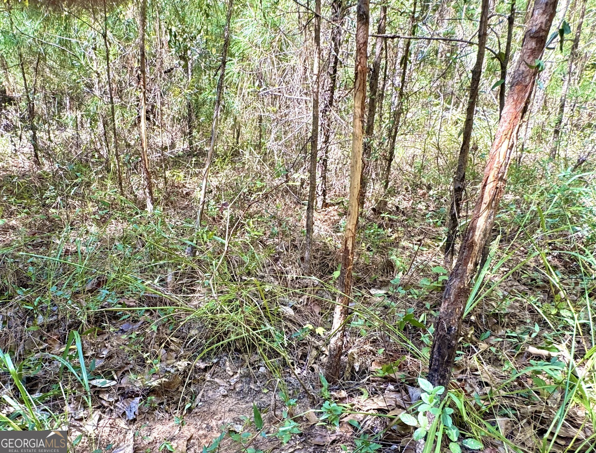 0 Highway 112 Toomsboro, GA 31090 - Photo 18 of 37