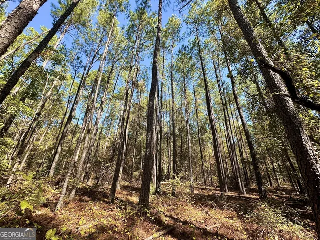 $832,500 | 0 Highway 112, Toomsboro, GA 31090