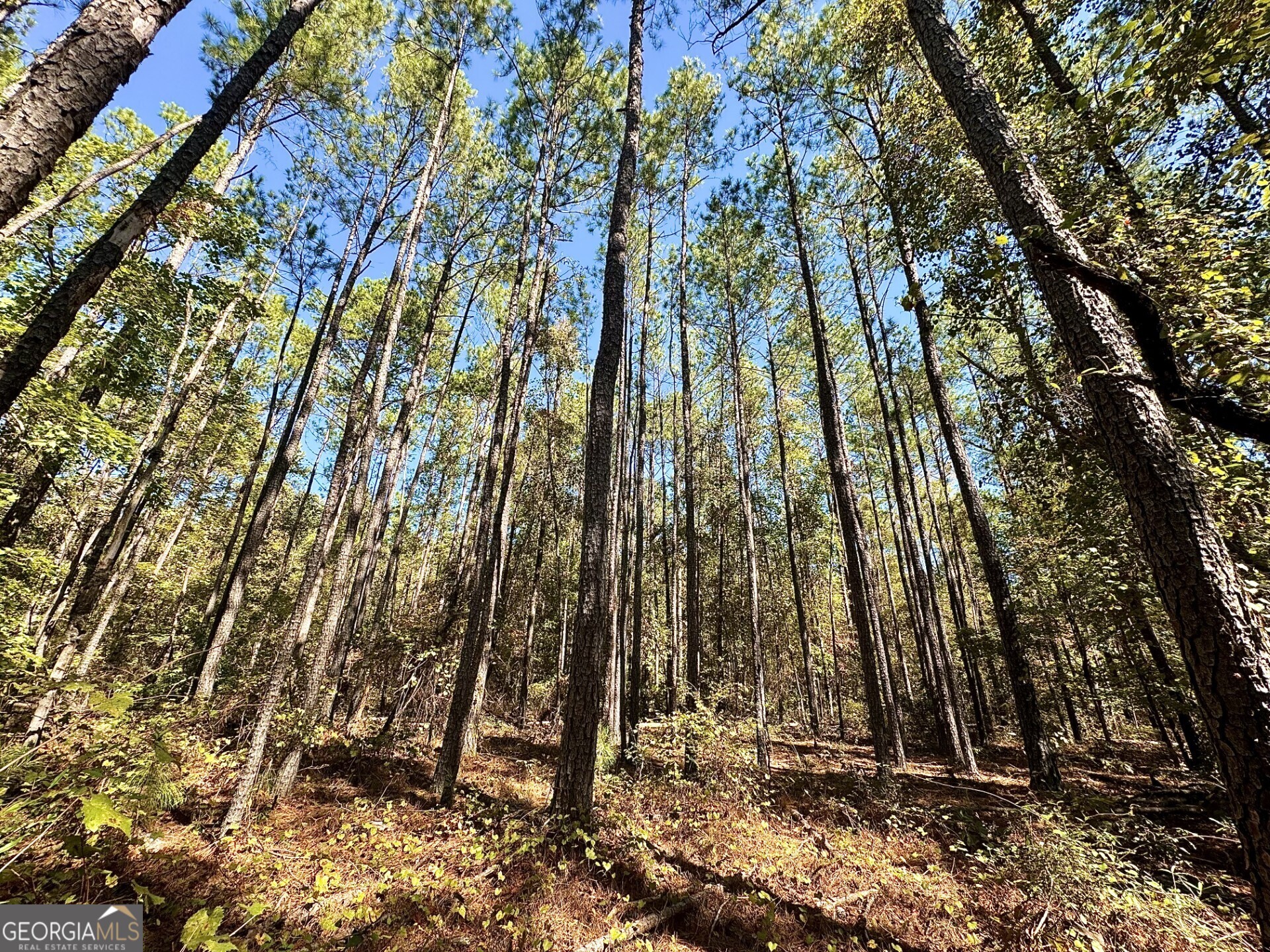 0 Highway 112 Toomsboro, GA 31090 - Photo 19 of 37
