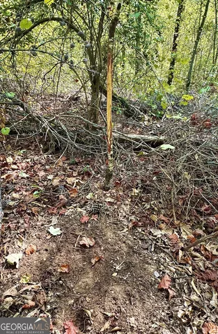 $832,500 | 0 Highway 112, Toomsboro, GA 31090