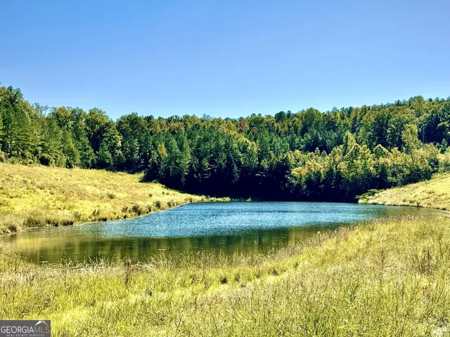 $832,500 | 0 Highway 112, Toomsboro, GA 31090