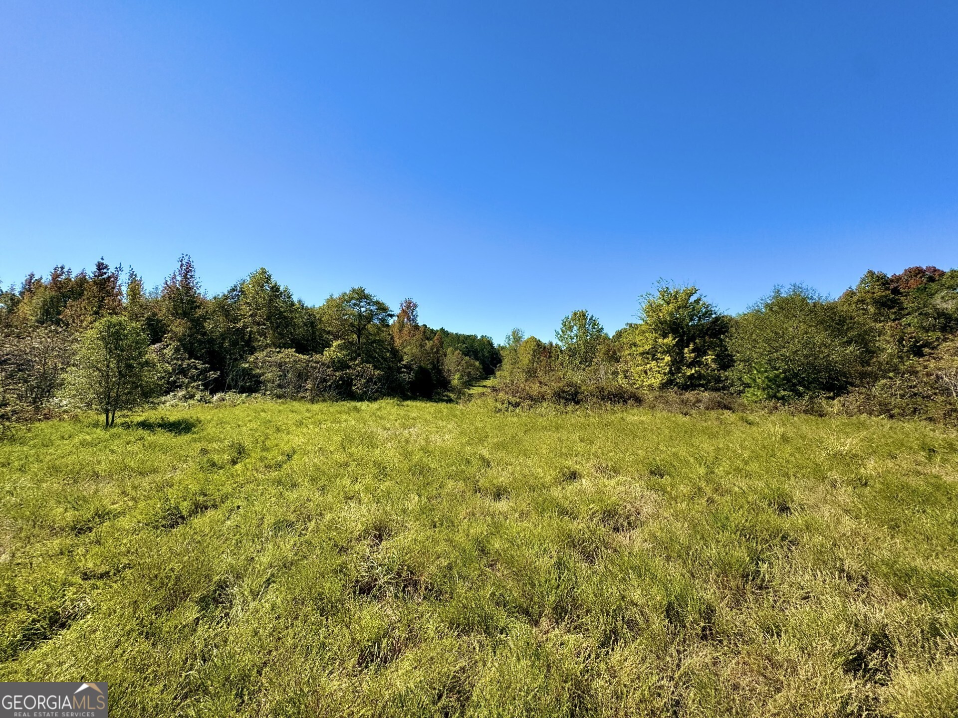 0 Highway 112 Toomsboro, GA 31090 - Photo 22 of 37