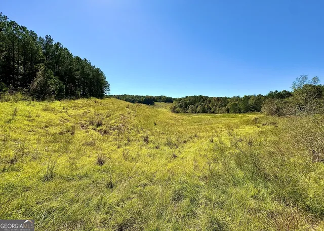 $832,500 | 0 Highway 112, Toomsboro, GA 31090