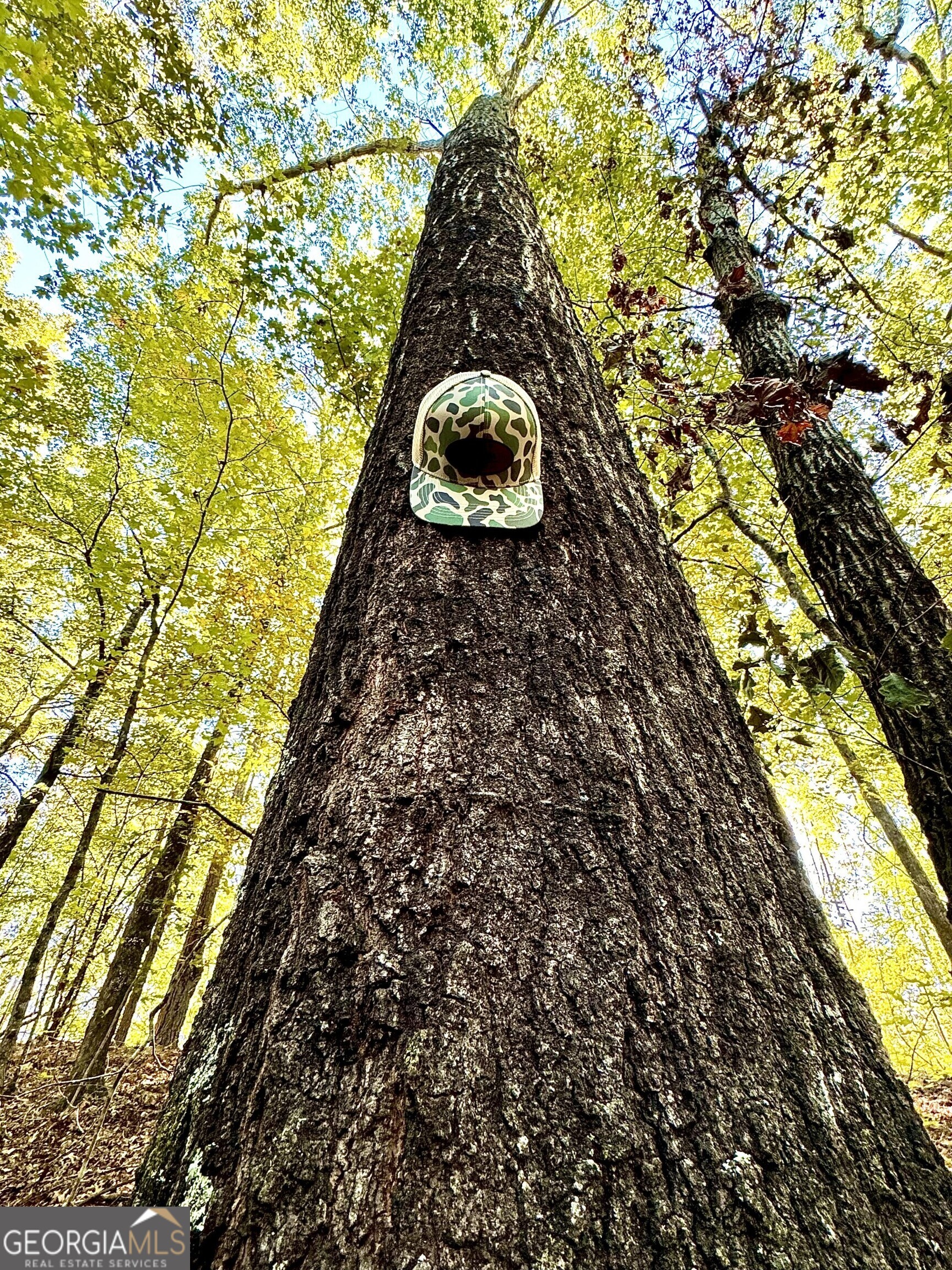 0 Highway 112 Toomsboro, GA 31090 - Photo 26 of 37