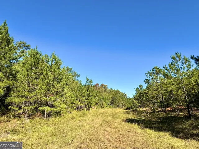 $832,500 | 0 Highway 112, Toomsboro, GA 31090