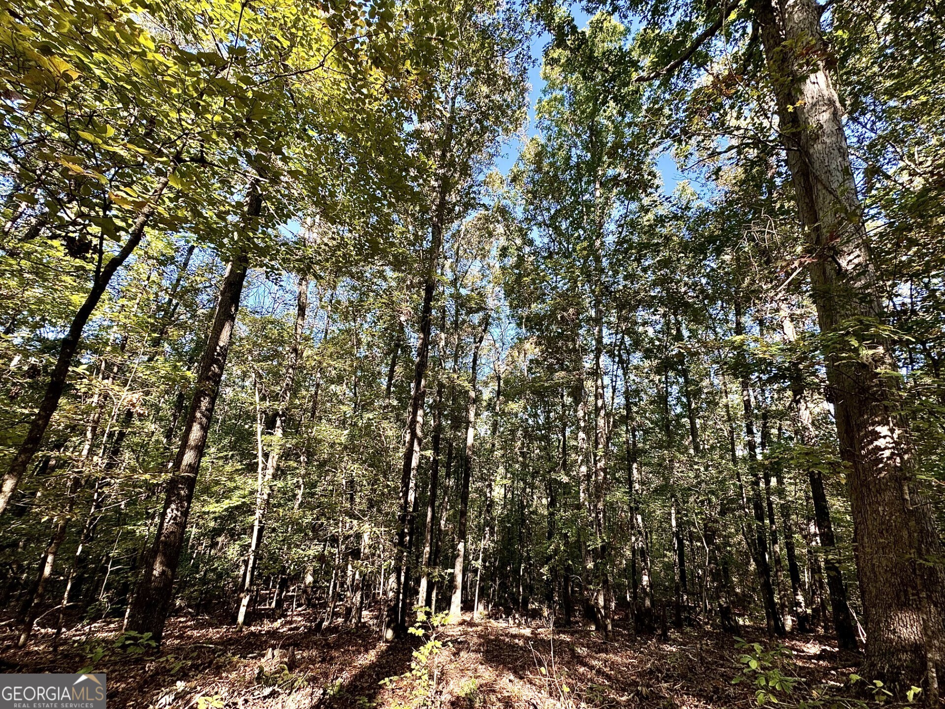 0 Highway 112 Toomsboro, GA 31090 - Photo 28 of 37