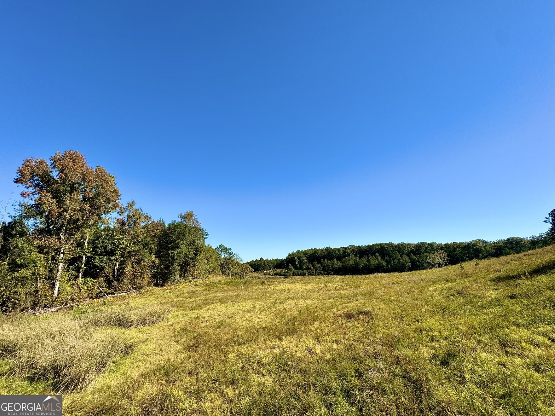 0 Highway 112 Toomsboro, GA 31090 - Photo 29 of 37