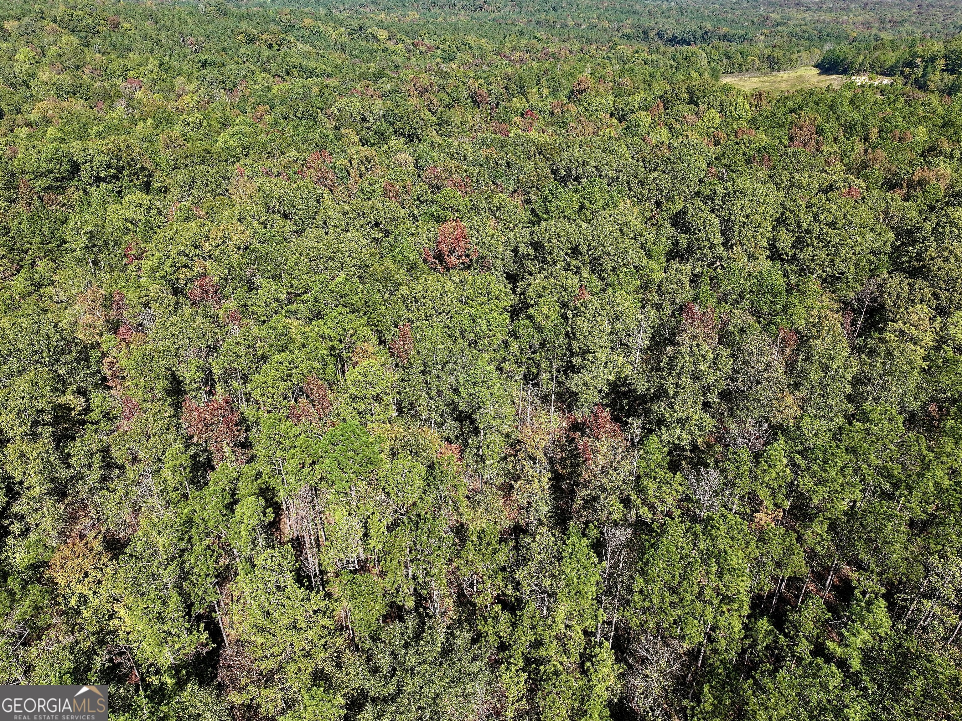 0 Highway 112 Toomsboro, GA 31090 - Photo 32 of 37