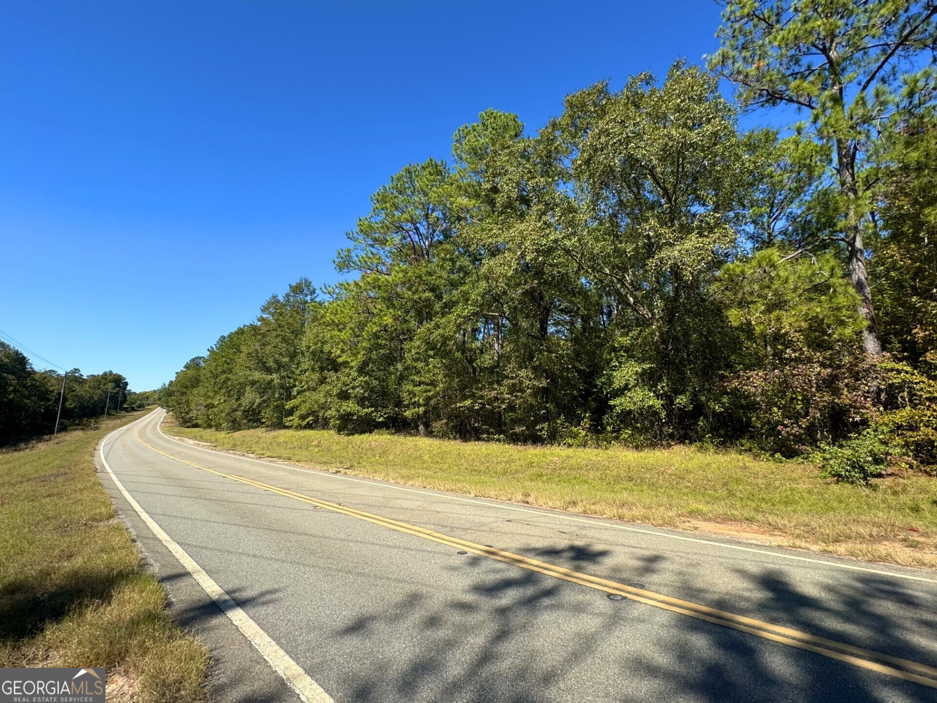 0 Highway 112 Toomsboro, GA 31090 - Photo 33 of 37