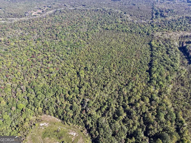 $832,500 | 0 Highway 112, Toomsboro, GA 31090