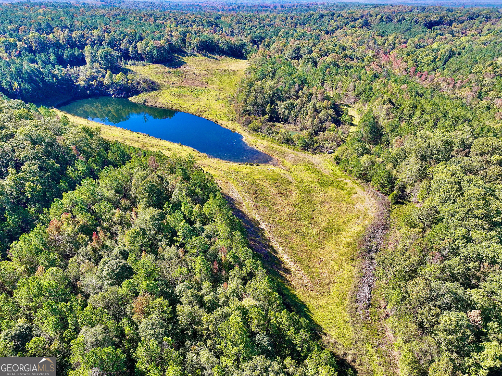0 Highway 112 Toomsboro, GA 31090 - Photo 6 of 37