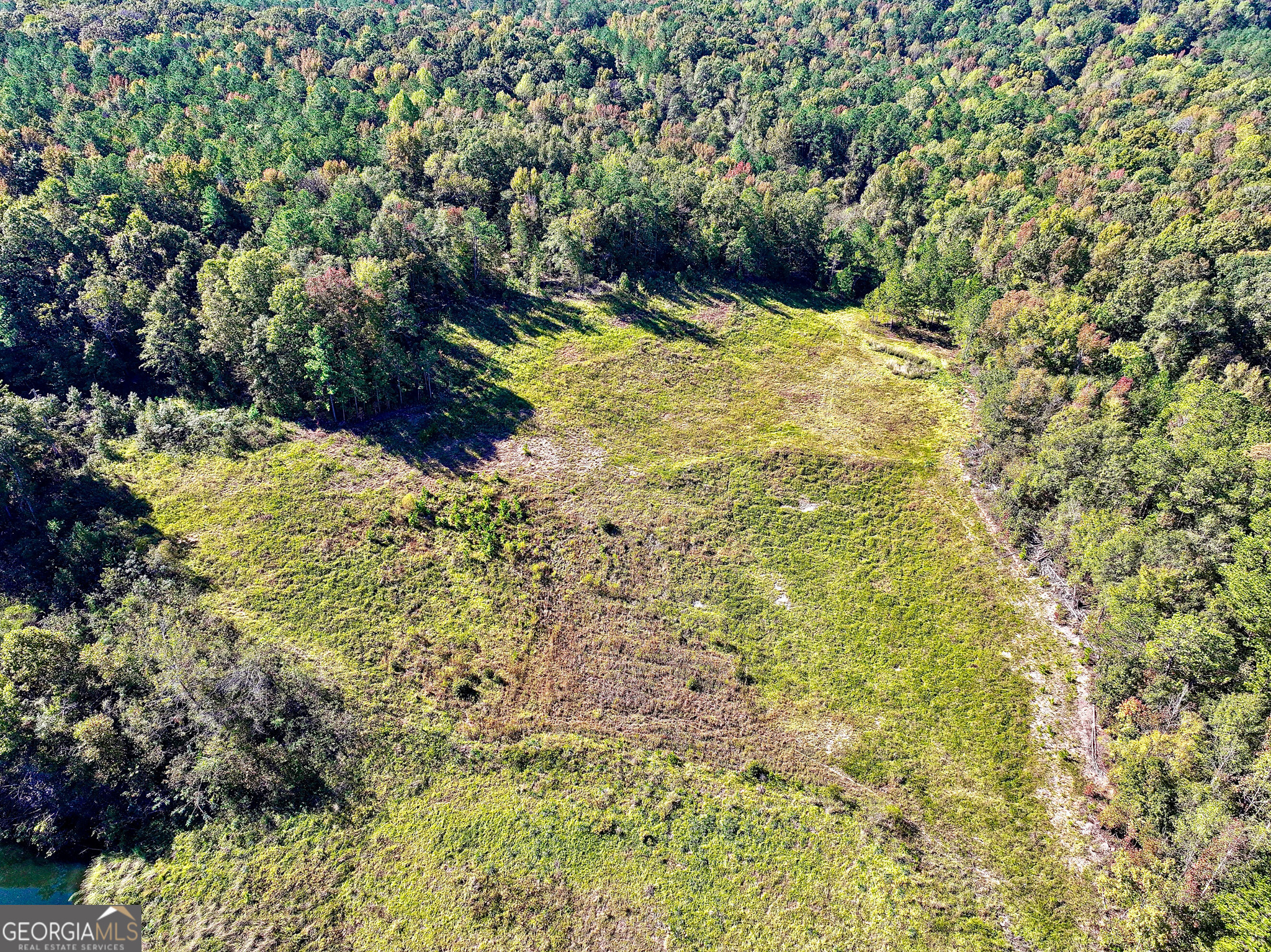 0 Highway 112 Toomsboro, GA 31090 - Photo 8 of 37