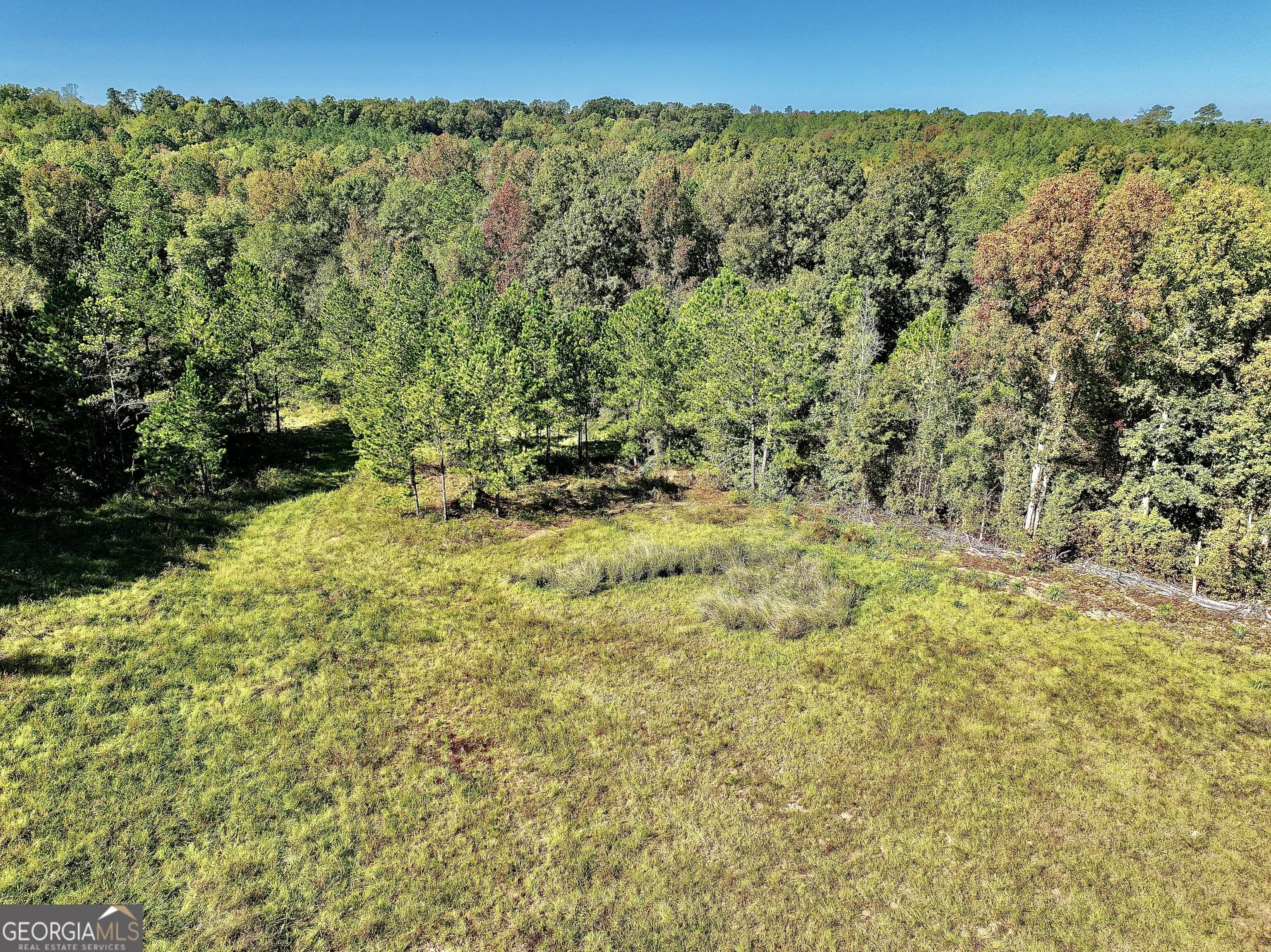 0 Highway 112 Toomsboro, GA 31090 - Photo 9 of 37