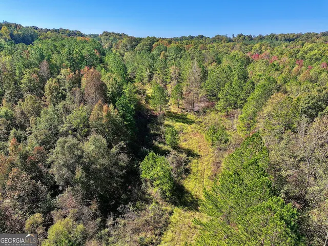 $832,500 | 0 Highway 112, Toomsboro, GA 31090