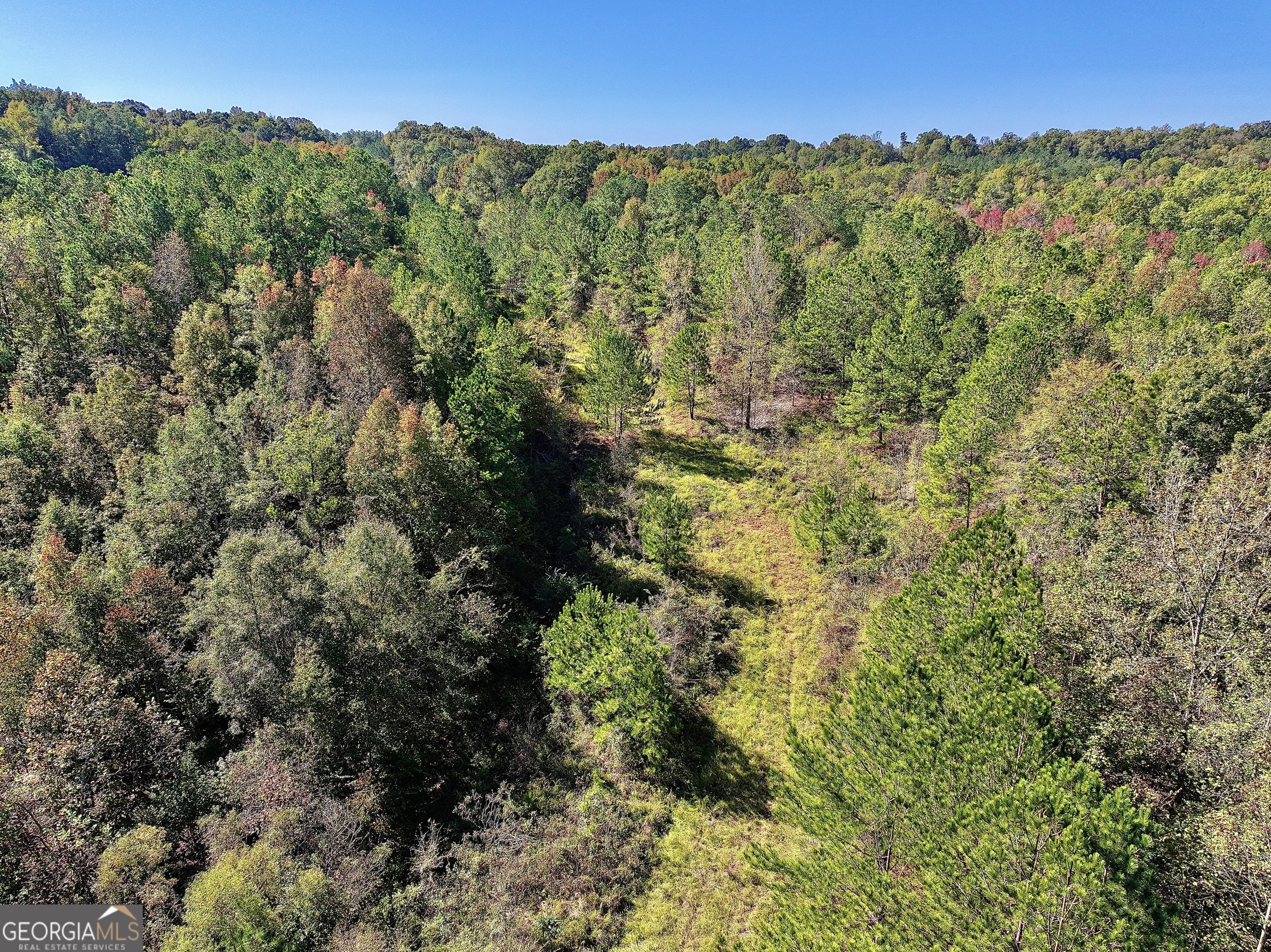 0 Highway 112 Toomsboro, GA 31090 - Photo 10 of 37