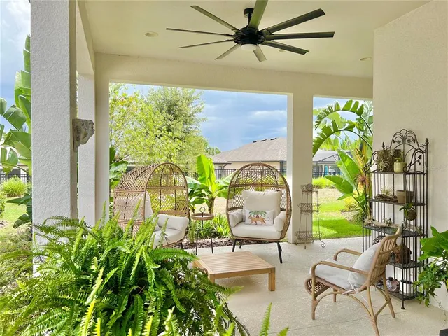 a living room filled with furniture and a potted plant