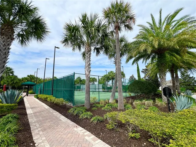 a view of a garden with a palm tree