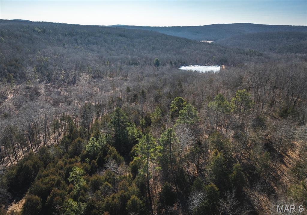 8765 Highway East Arcadia, MO 63621 - Photo 12 of 46