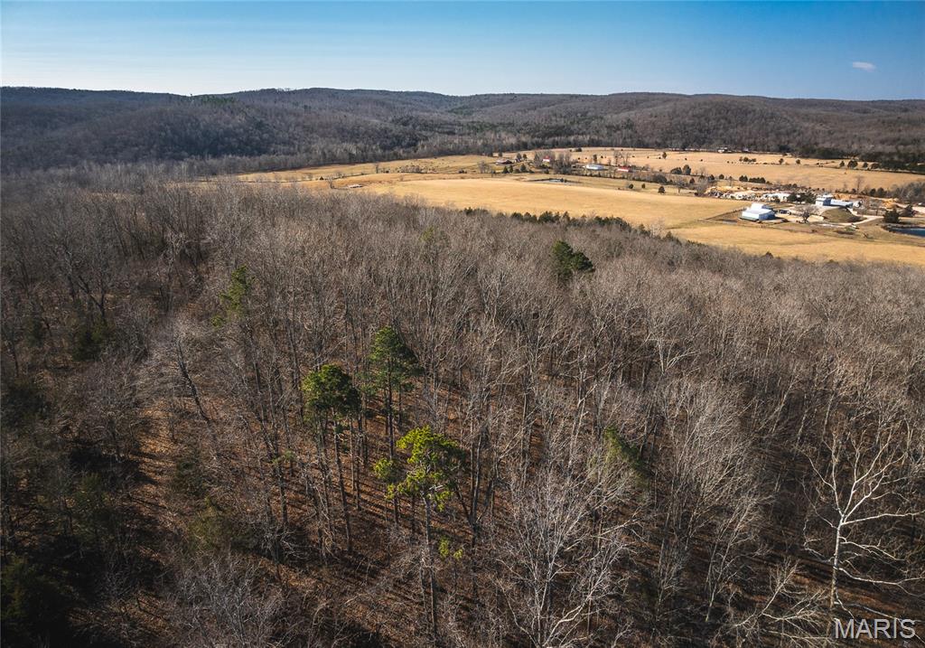 8765 Highway East Arcadia, MO 63621 - Photo 13 of 46