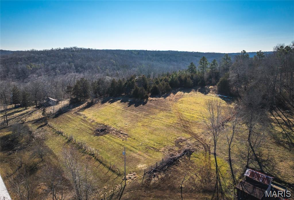 8765 Highway East Arcadia, MO 63621 - Photo 3 of 46