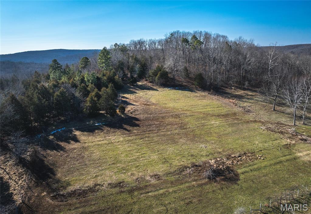 8765 Highway East Arcadia, MO 63621 - Photo 8 of 46