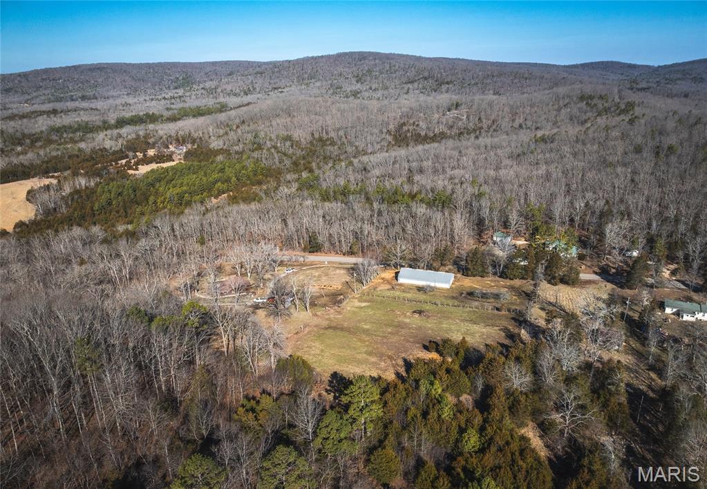 8765 Highway East Arcadia, MO 63621 - Photo 9 of 46