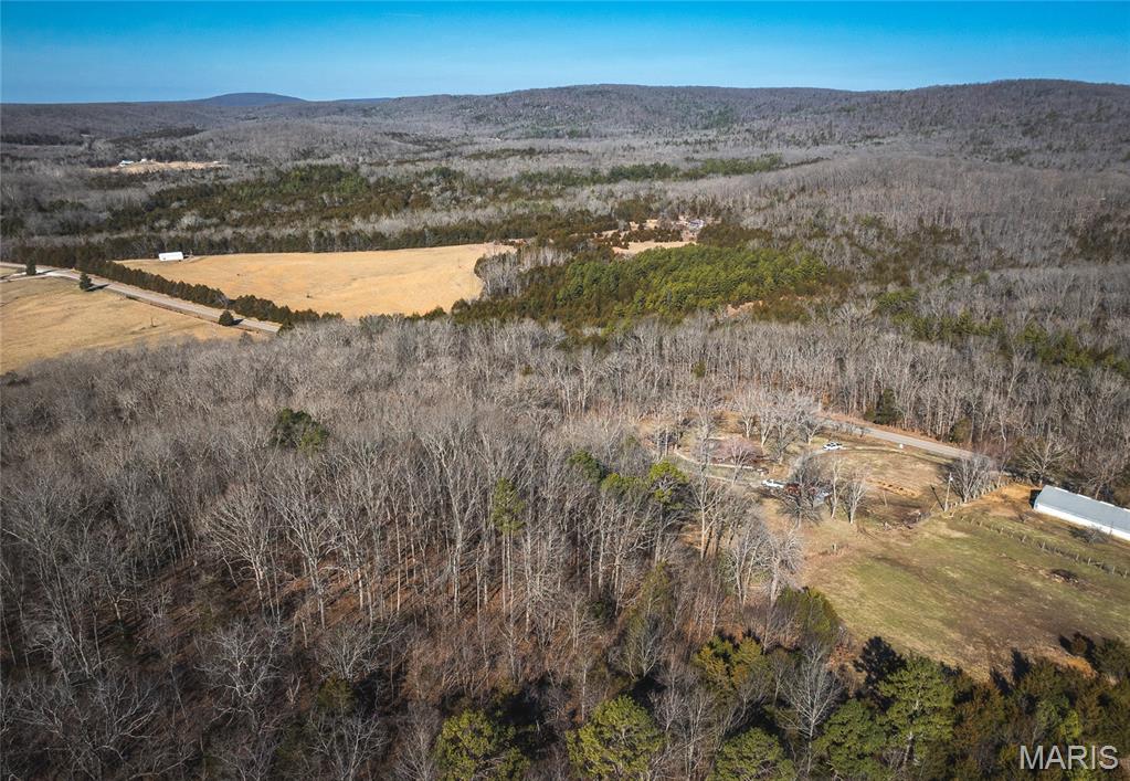 8765 Highway East Arcadia, MO 63621 - Photo 10 of 46