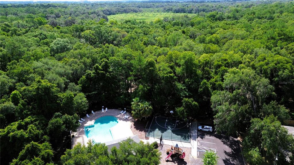 1937 Southwest 66th Drive Gainesville, FL 32607 - Photo 45 of 48