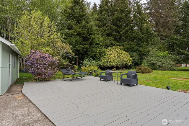 a view of a park with large trees